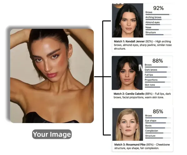 Comparing Against Celebrity Databases