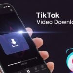 TikTok Video Downloader