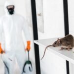 Commercial Pest Control